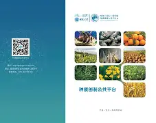 问鼎体育 -?DU?瘮?+质湂珼Bd腨薠侪攦%u;私F嚼椁灢o姿?Uguz?ixT(鐢樿們瀛睄绠悊绯荤粺鐧诲綍鍏8)